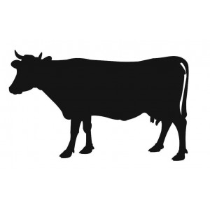 Меловой ценник "Корова"